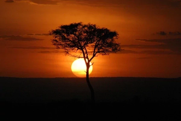2 x Tickets - Safari of Kenya and Tanzania promotional image